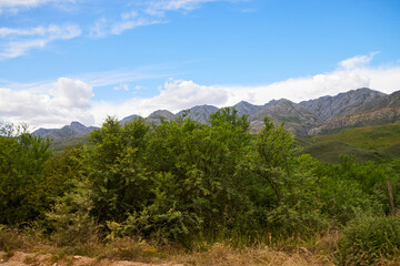 Eine Reise durch Südafrika.