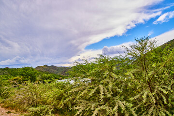 Obraz premium Eine Reise durch Südafrika.