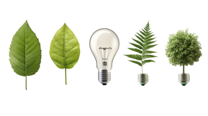 A creative composition of leaves, a light bulb, and a plant, symbolizing sustainability and eco-friendly ideas.