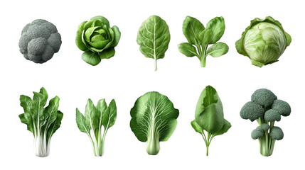 Collection of fresh green vegetables including broccoli, lettuce, and spinach, perfect for health-focused culinary projects.