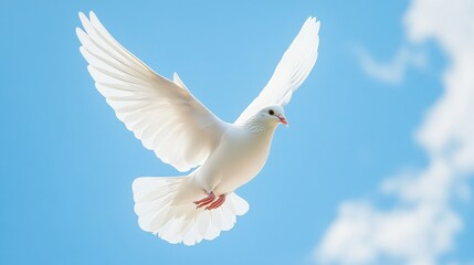Fototapeta premium A white dove flying against a blue sky, representing peace and hope around the world