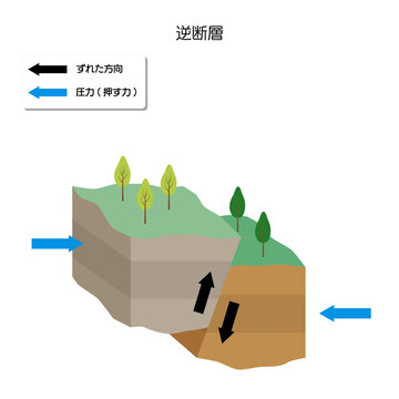 地震のメカニズム　逆断層（縦ずれ断層）