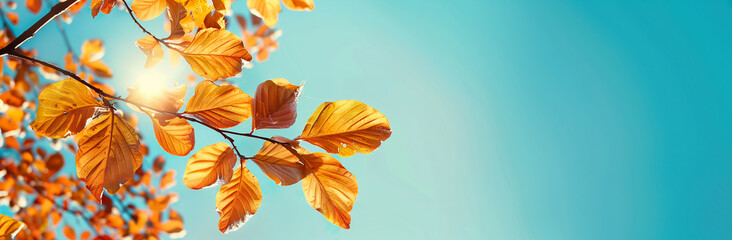 Obraz premium Autumn leaves on blue sky background banner AI Image