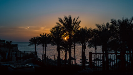 landscape dawn sky palms and hotel in egypt in Sharm El Sheikh