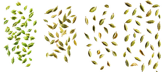 A full depth of field image of falling cardamom on a white background