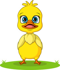 cute little duck