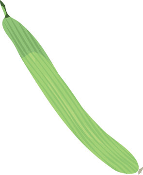 kakri, kakri vegetable