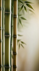 Green bamboo shoots are growing upwards in front of a blurred background with sunlight