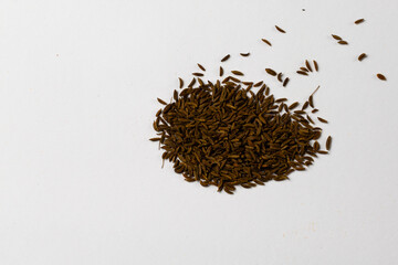 caraway seeds