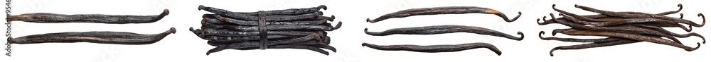 Poster The vanilla bean is isolated on a white background with a clipping path and a full depth of field