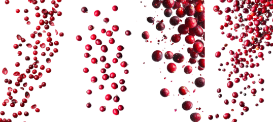 The falling cranberry is isolated on a white background with full depth of field