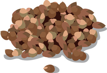 charoli, charoli seeds, marathi charoli, Cuddapah almond