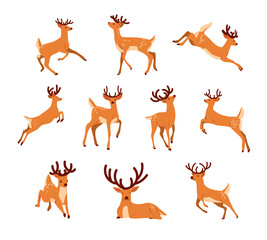 Winter Reindeer Cartoon Set Vector Illustration © alvindo