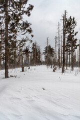 Winter on Velky Polom hill in Moravskoslezske Beskydy mountains
