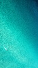 The Empty Vastness of the Ocean