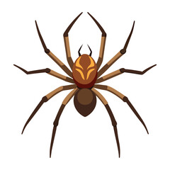Illustration of Brown Recluse Spider Isolated on white