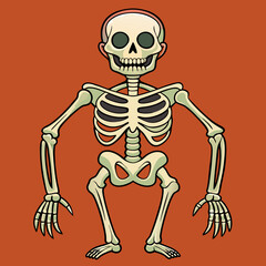 skull pirate skeleton vector illustration