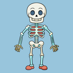 skull pirate skeleton vector illustration