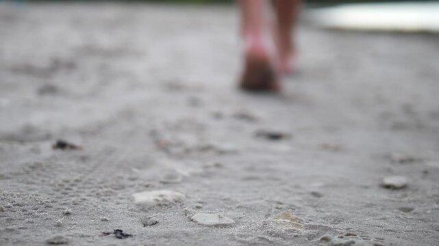 A close-up of legs moving gracefully along a beach covered in small pebbles, with water gently lapping at them The legs step carefully, each stride creating a rhythmic dance between pebbles and water.