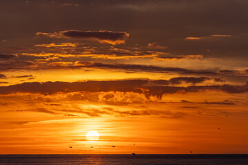 A breathtaking sunset over the ocean with dramatic clouds and birds flying, creating a mesmerizing scene.