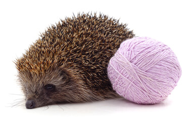 Hedgehog and a ball of thread.