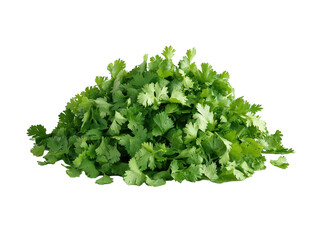 Obraz premium Fresh cilantro leaves scattered on white background. PNG transparent.