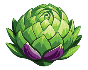 Artichoke vector illustration on white background