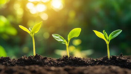 Three Pillars of Success: Accounting, Websites, and Marketing