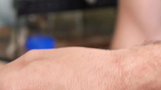 Bright Orange and Gray Sphaerodactylus Torrei Gecko Lizard on Human Hand - Close-Up of Colorful Reptile