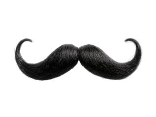 Black mustache isolated on a white background. PNG transparent.