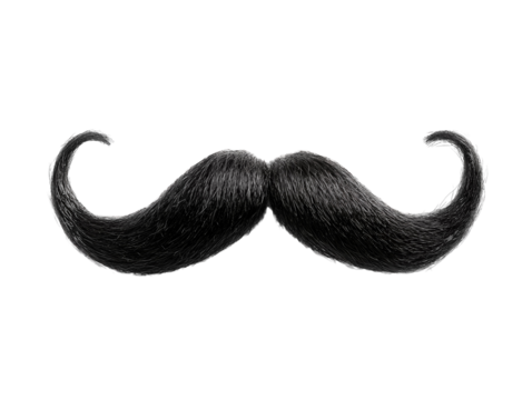 Black mustache isolated on a white background. PNG transparent.