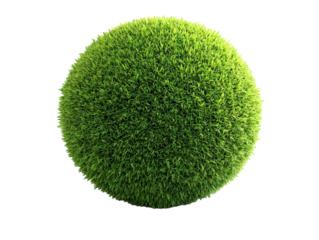 Green grass sphere on a white background. PNG transparent.