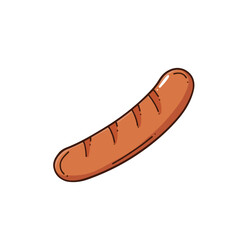 grilled sausage illustration no background