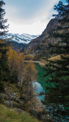 landscape in antrona valley during autumn