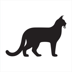 Bobcat silhouette on white background
