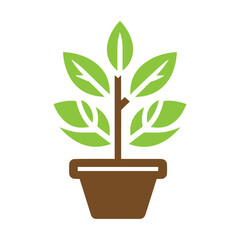 Plant in flower pot icon 