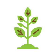 Plant in flower pot icon 