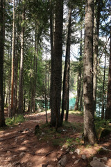 Obraz premium Hiking 