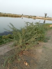 path in the field. road in the field. path to the river. path to the sea. path to the beach. path to the sea