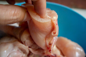 Fototapeta premium Fresh raw chicken pieces to make delicious dishes with a blue background