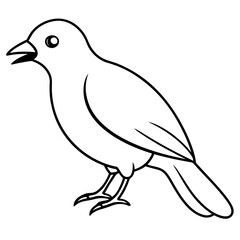 bird on a branch