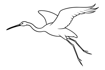 illustration of a flying bird