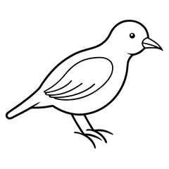 Obraz premium illustration of a bird