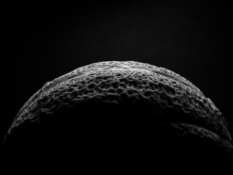 Conceptual surface of the moon in outer space
