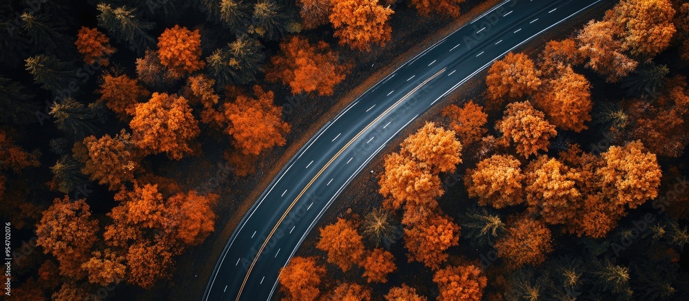 Leinwandbilder aerial perspective of a highway surrounded by autumn foliage in the forest. with copy space image. p