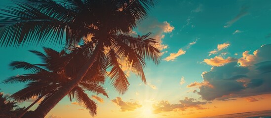 Copy space featuring the silhouette of a tropical palm tree with sunlight against a sunset sky and abstract clouds Concept of summer vacation and nature travel adventure Color style with a vintage to