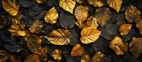 Fototapeta premium The golden leaves are arranged against a black background. with copy space image. Place for adding text or design