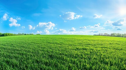 Obraz premium Beautiful natural scenic panorama green field of cut grass into and blue sky with clouds on horizon. Perfect green lawn on summer sunny day with generative ai