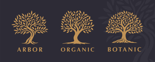Set of three elegant tree logo emblems showcasing organic and botanical designs. Ideal for branding, nature-inspired businesses, and environmental concepts with a focus on growth and sustainability.