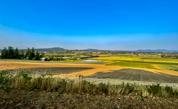 Agricultural fields in Martindale Valley, Saanich Peninsula, Vancouver Island, British Columbia, Canada